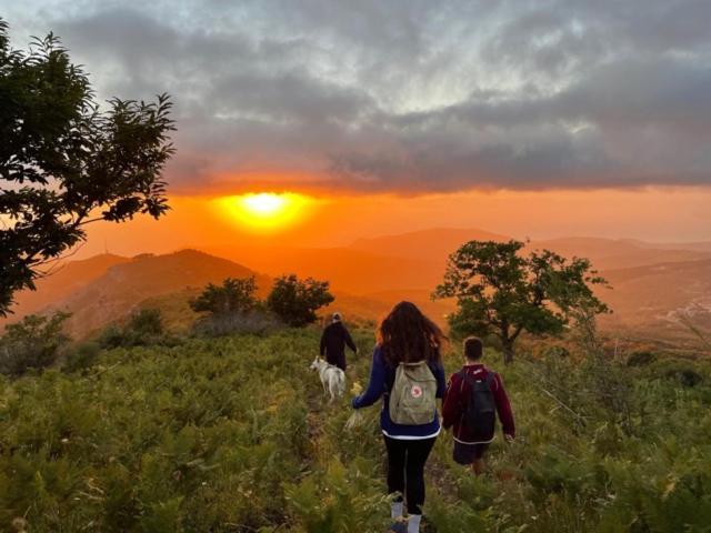 La Corte Di Montagna San Mango ภายนอก รูปภาพ